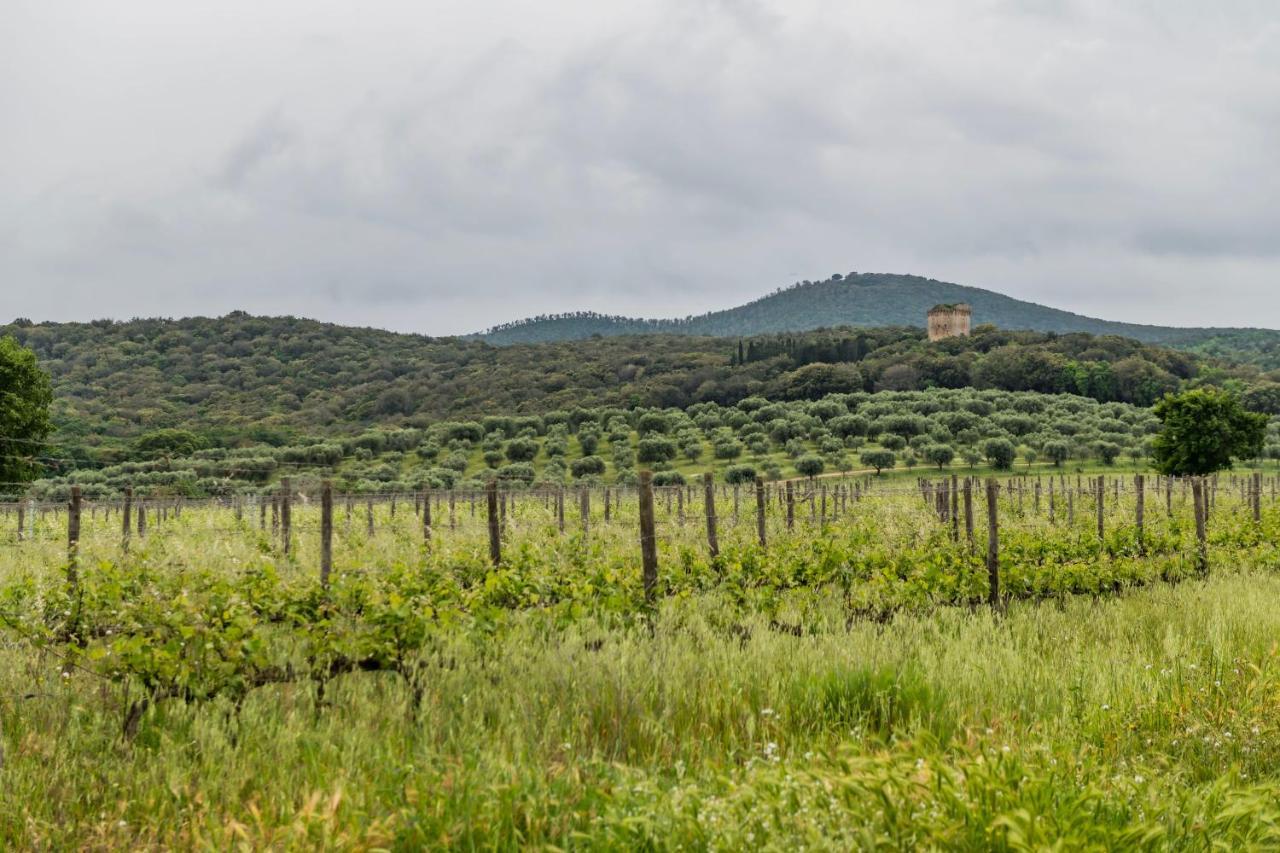 Tenuta Agricola Dell'Uccellina Magliano in Toscana Exterior photo
