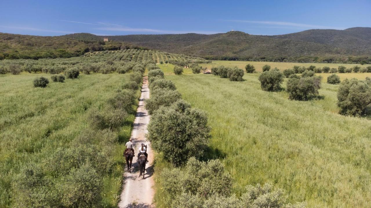 Tenuta Agricola Dell'Uccellina Magliano in Toscana Exterior photo