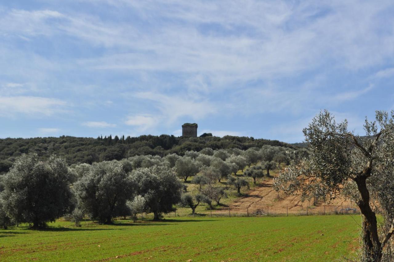 Tenuta Agricola Dell'Uccellina Magliano in Toscana Exterior photo